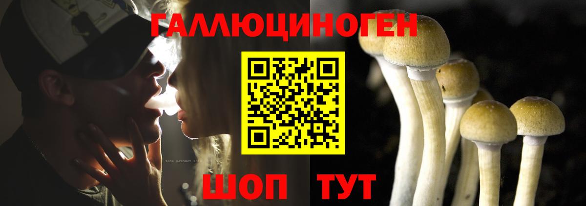 Галлюциногенные грибы мицелий  Вход с VPN  Белая Калитва 